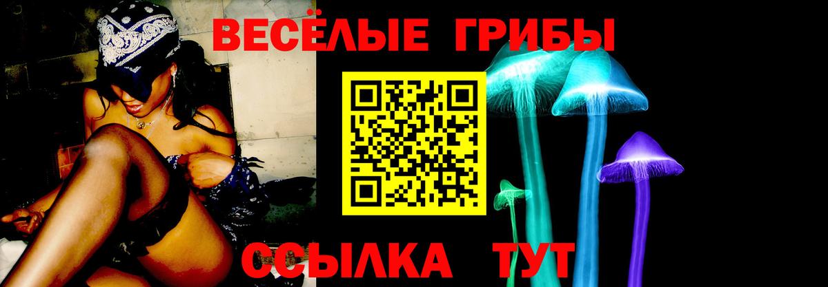 Псилоцибиновые грибы MAGIC MUSHROOMS Белая Калитва
