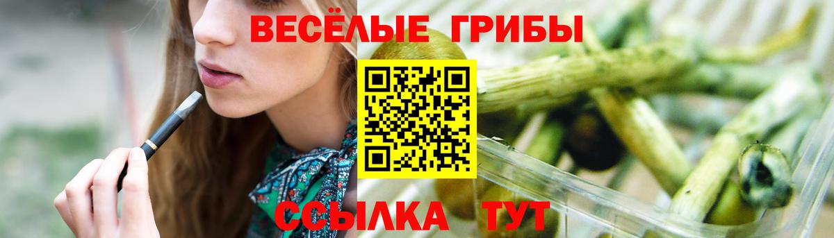 Галлюциногенные грибы MAGIC MUSHROOMS  Вход с VPN  купить   Белая Калитва 